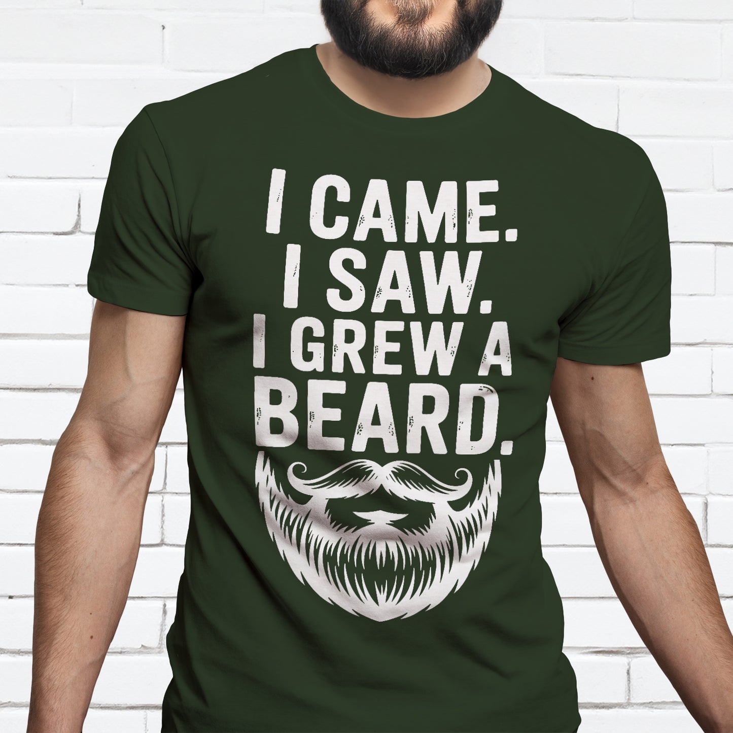 Gifts For Men - I Came I Saw I Grew a Beard - Gildan 6400 Tshirts