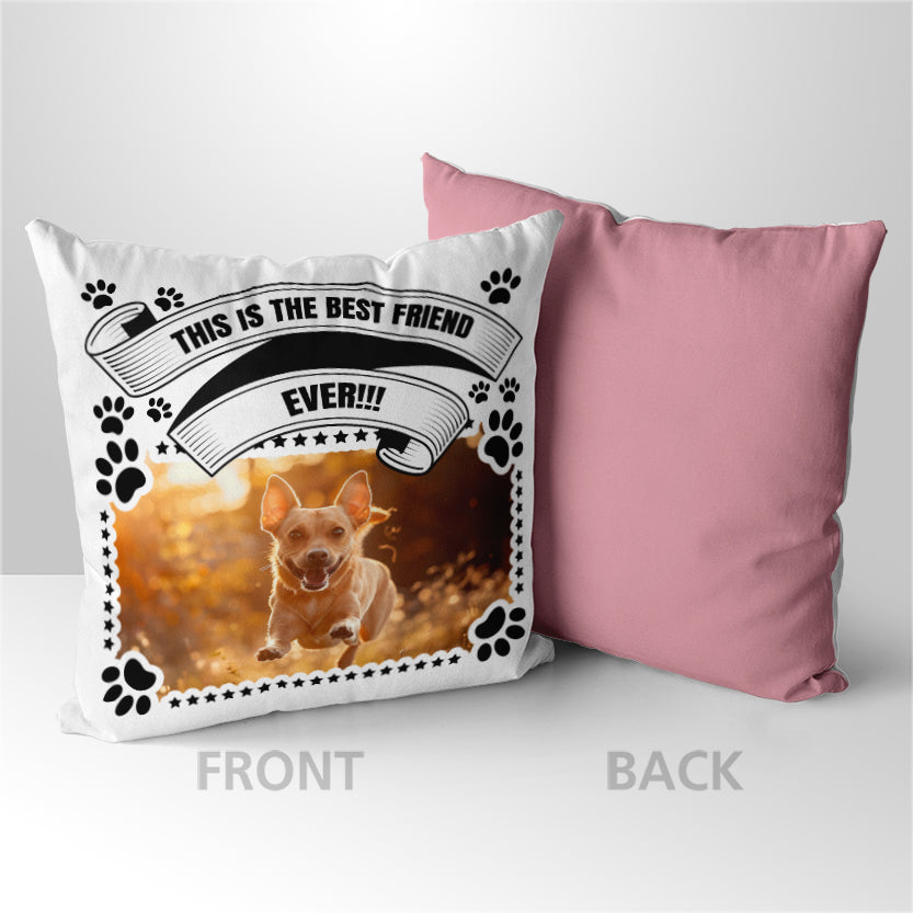 Personalized Pet Gift Pillow - Best Friends - 10 Designs