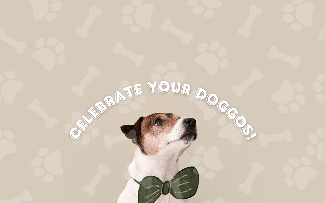 Have Fun This National Pet Day with a Personalized Dog Doormat: Why It Makes a Pawfect Personalized Gift for Dog Lovers