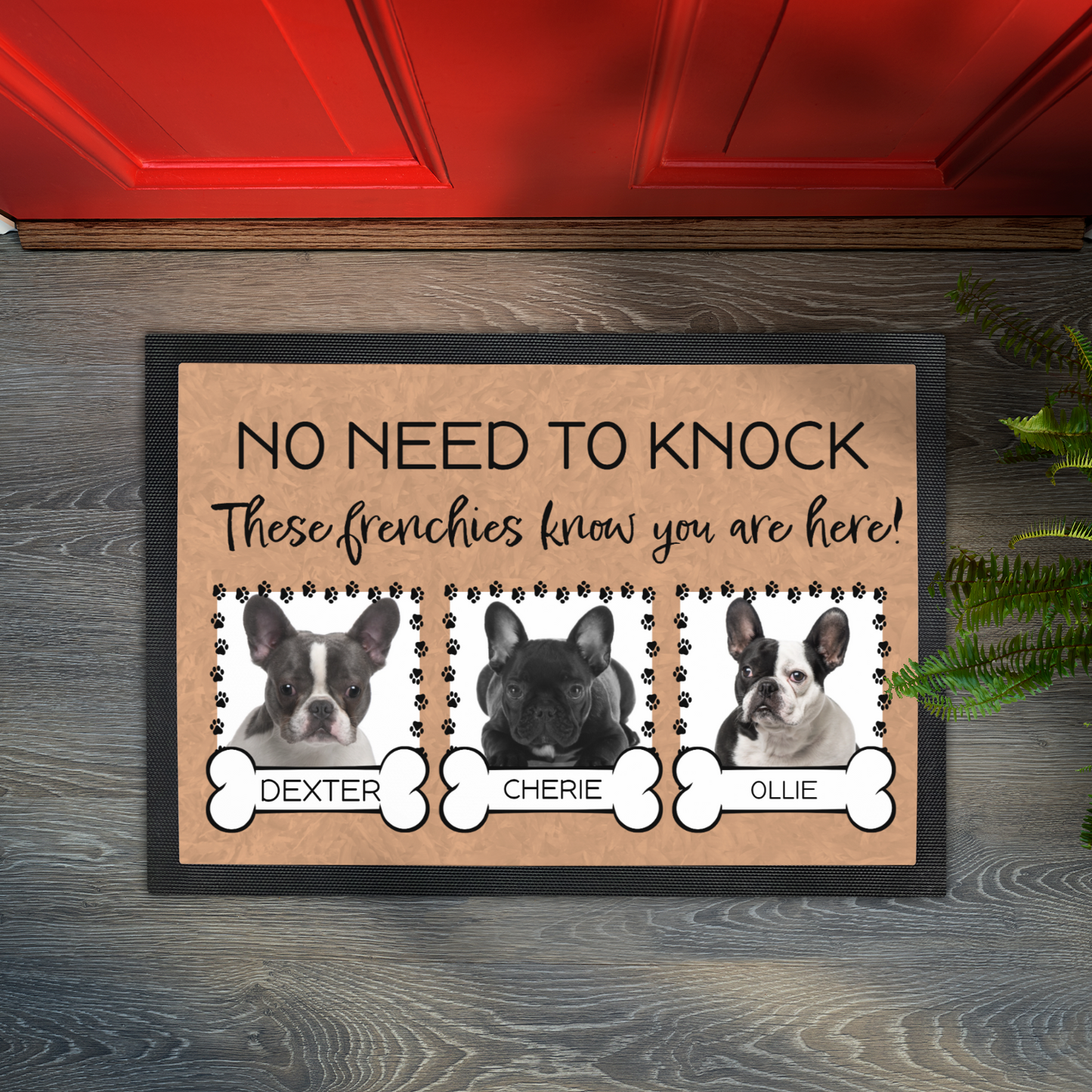 No Need To Knock These French Bulldogs Know You Are Here With 3 Dogs Names &  3 Photo Uploads