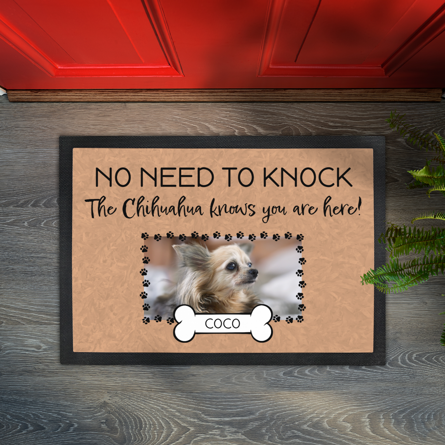 No Need To Knock This Chihuahua Knows You Are Here With Your Dogs Name & Photo Upload