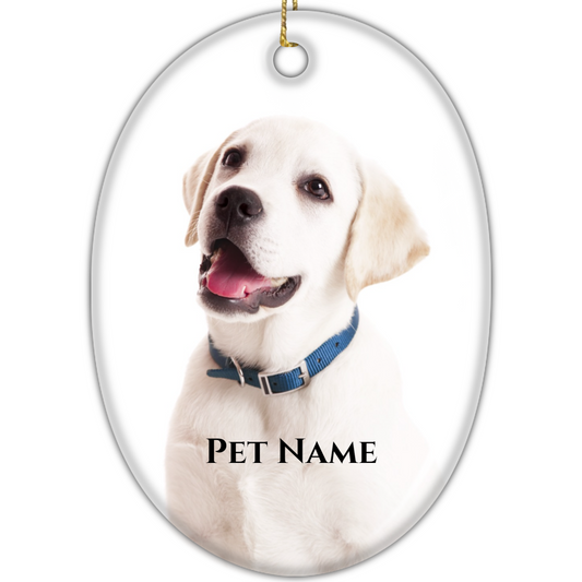 Ceramic Oval Hanging Ornament - Christmas Pet 005