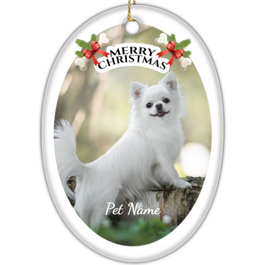 Ceramic Oval Hanging Ornament - Christmas Pet 004