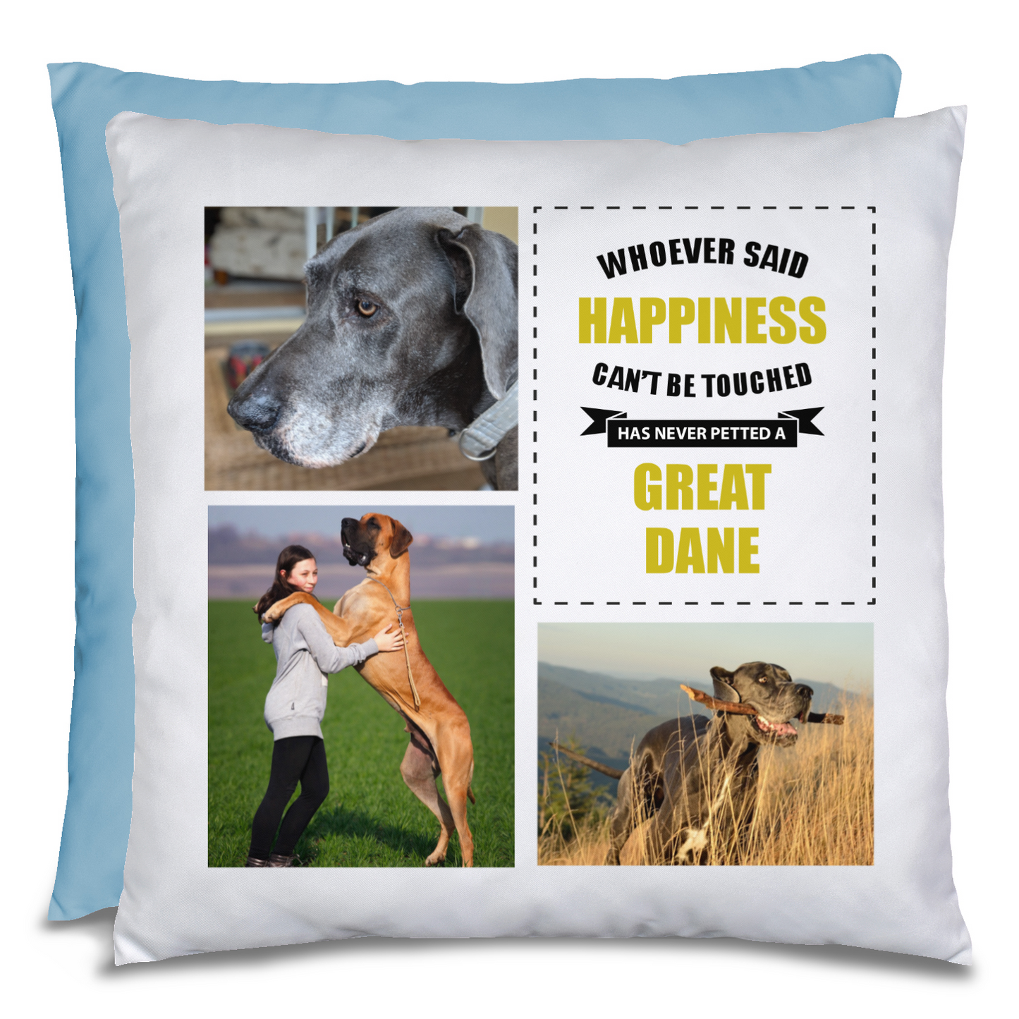 Great Dane Photo Pillow